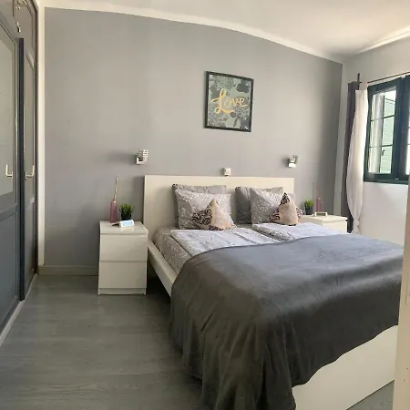 Albatros 푸에르토 델 카르멘