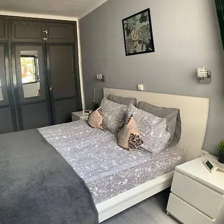 Albatros 푸에르토 델 카르멘